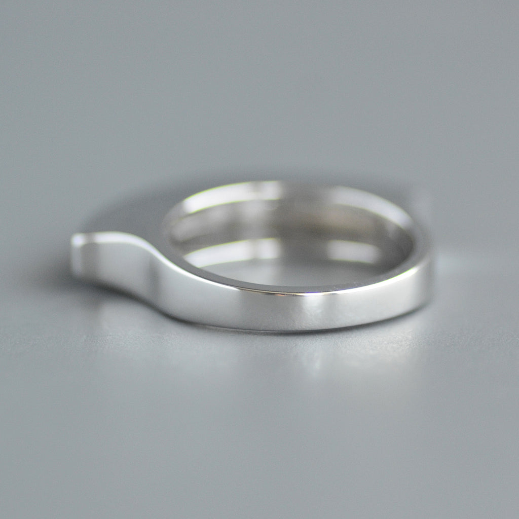 Fan ring