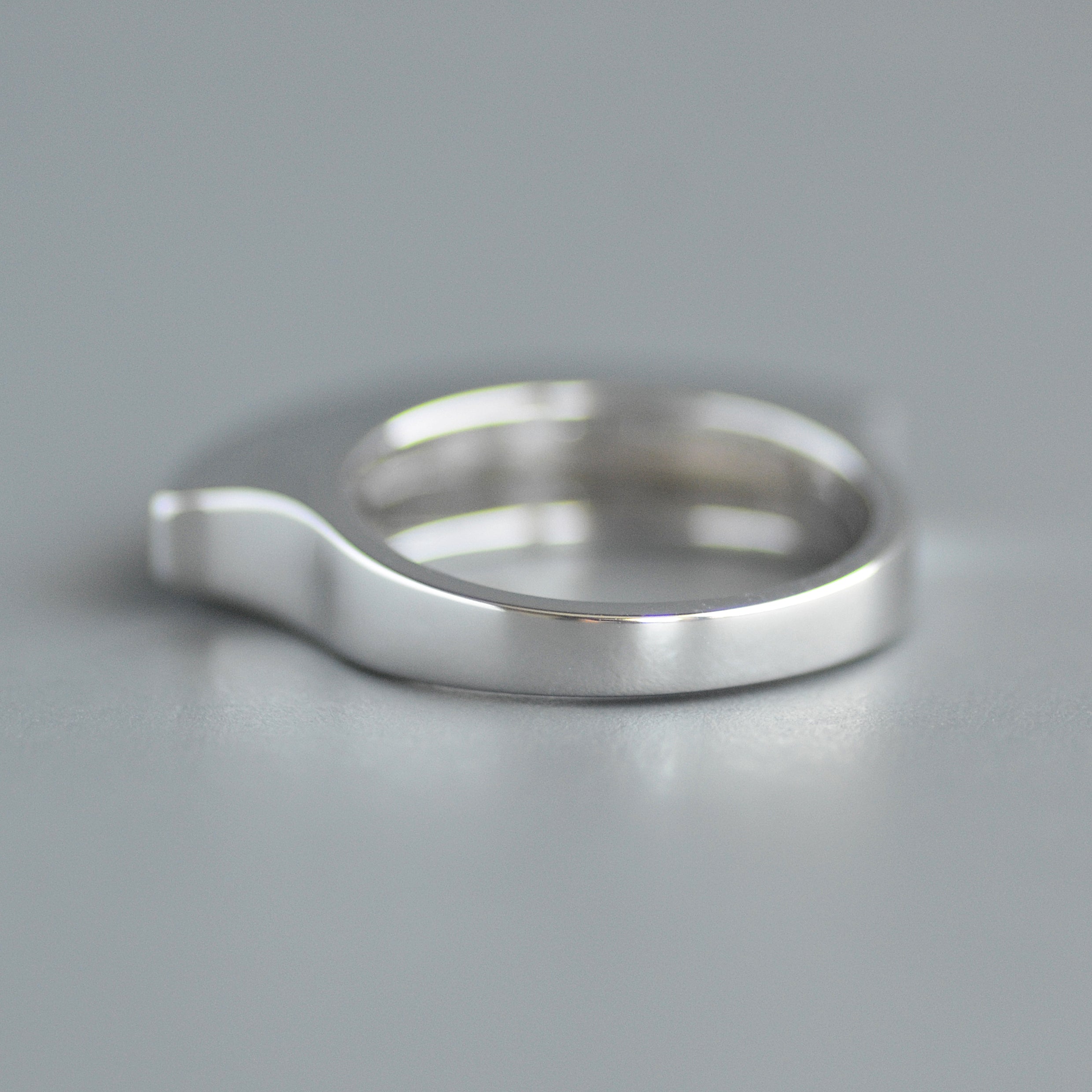 Fan ring