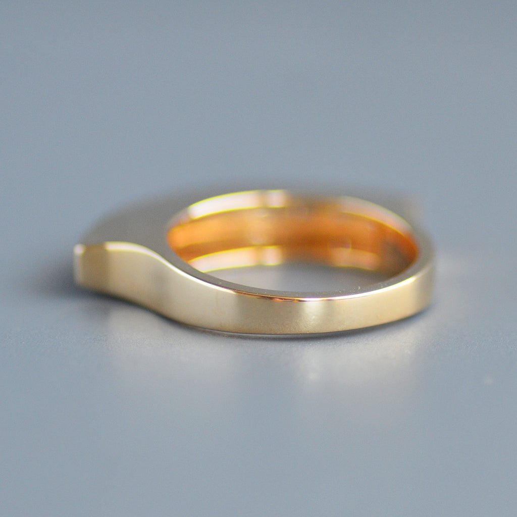 Fan ring
